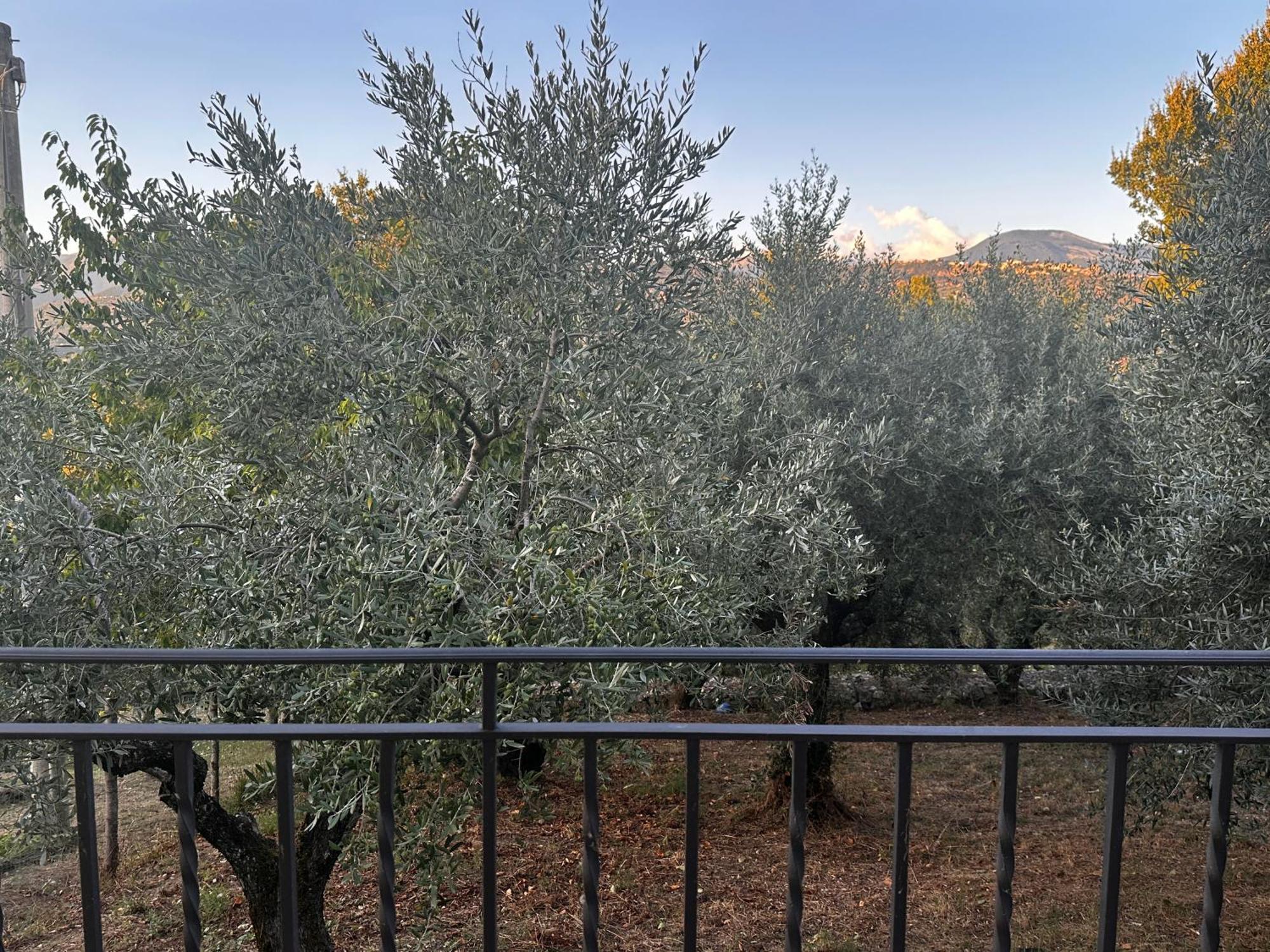 La Casa In Collina Apartman Veroli Kültér fotó